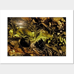 Persimmon in Chiaroscuro with Gold Tones Posters and Art